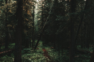 网球国家杯,不只是一场比赛,更是一场关于梦想的追逐! 网球国家杯,不只是一场比赛,更是一场关于梦想的追逐!