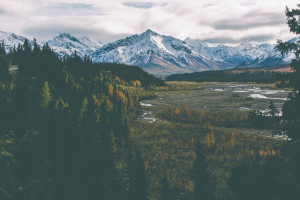 数据是关键:电竞战队为何如此看重国际统计分析! 数据是关键:电竞战队为何如此看重国际统计分析!